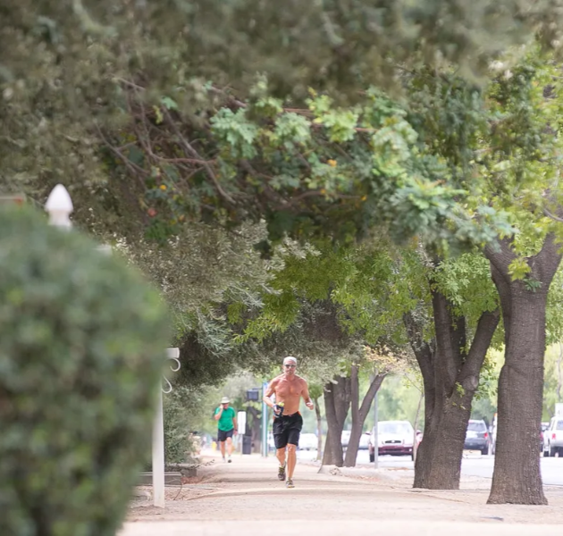 North Central Phoenix